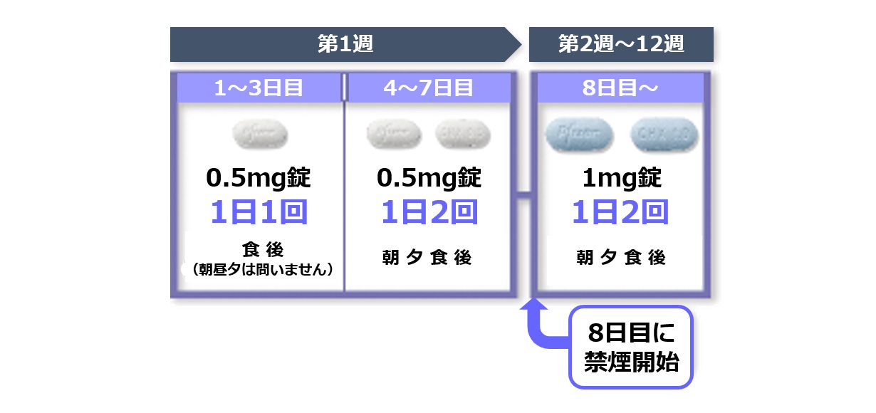 禁煙外来：飲み薬（チャンピックス）－村井クリニック